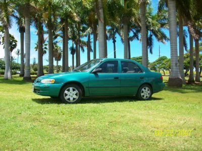 Maui Car Rentals