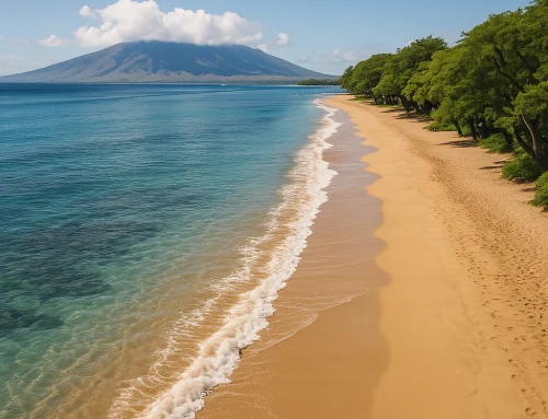 Current Trends in Maui Car Rentals: How to Navigate Seasonal Price Changes