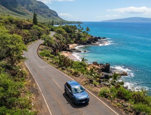 How Local Car Rental Companies Save Long-Term Visitors 60% vs Major Brands